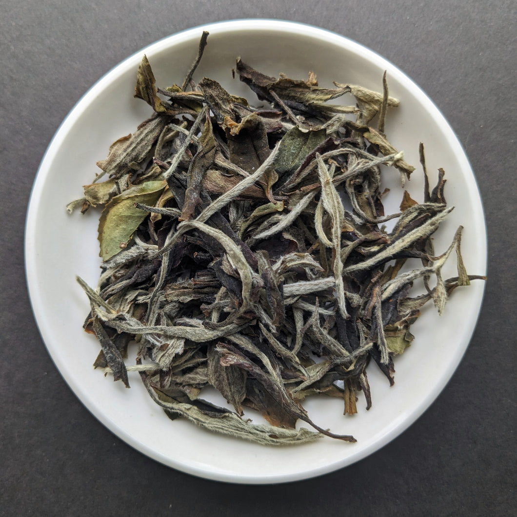 Organic White Peony tea in a white ceramic dish