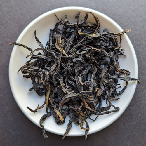 A dark colored, large-leafed Oolong tea in a small white porcelain dish