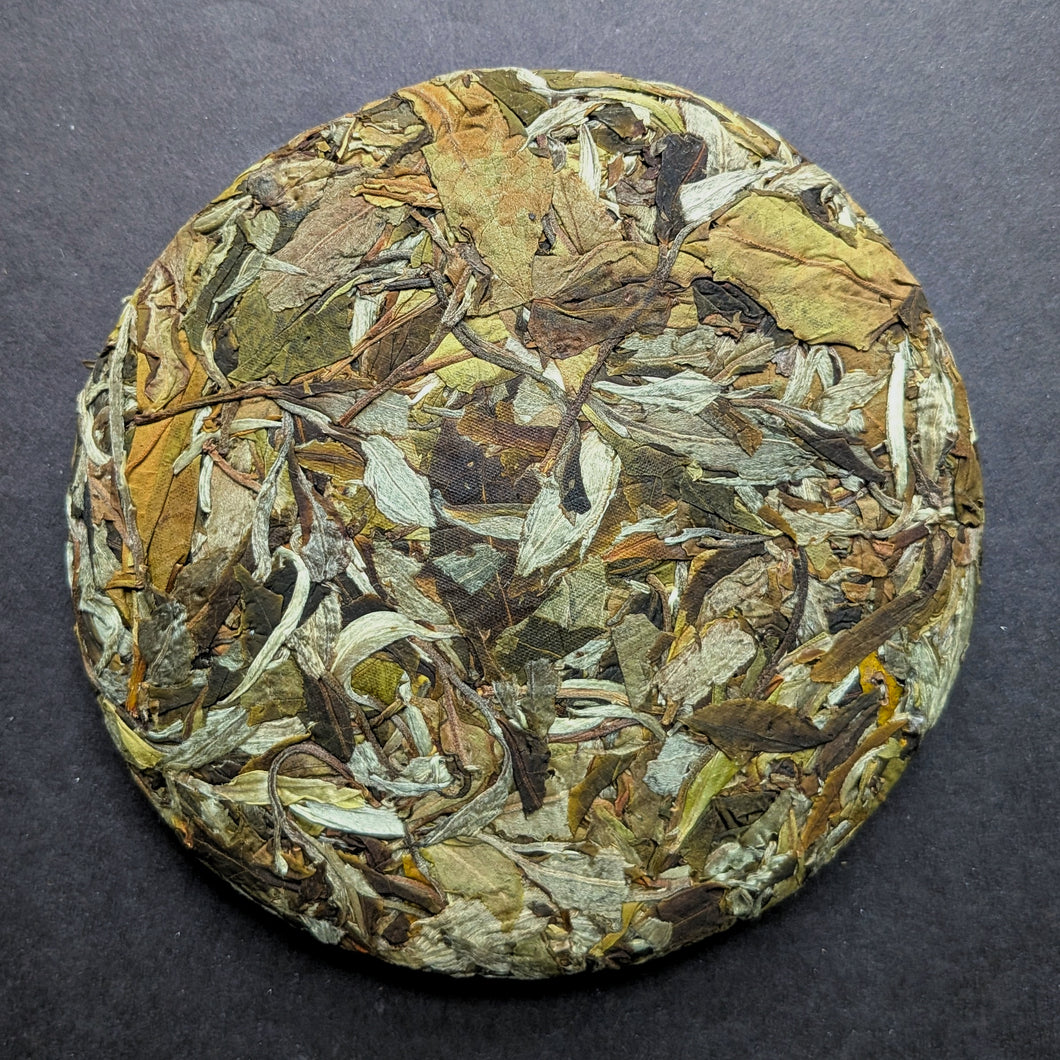 Old Tree White Dew Yunnan White Tea Cakes