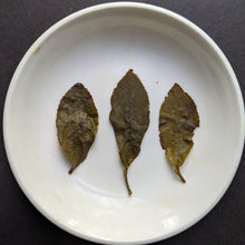 three brewed leaves from Jin Xuan Taiwan oolong, placed onto a small white ceramic dish