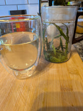 Premium Tai Ping Hou Kui Green Tea