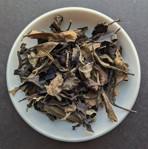 Gushu Moonlight Aged White Tea