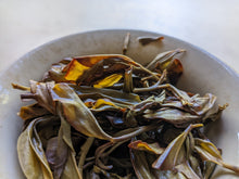 Ya Shi Xiang "Duckshit" Dancong Oolong Tea Fall Harvest